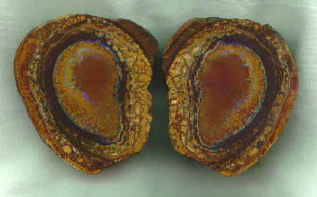 The Brain Yowah Nut Picture Opal