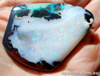australian_opal_f0018